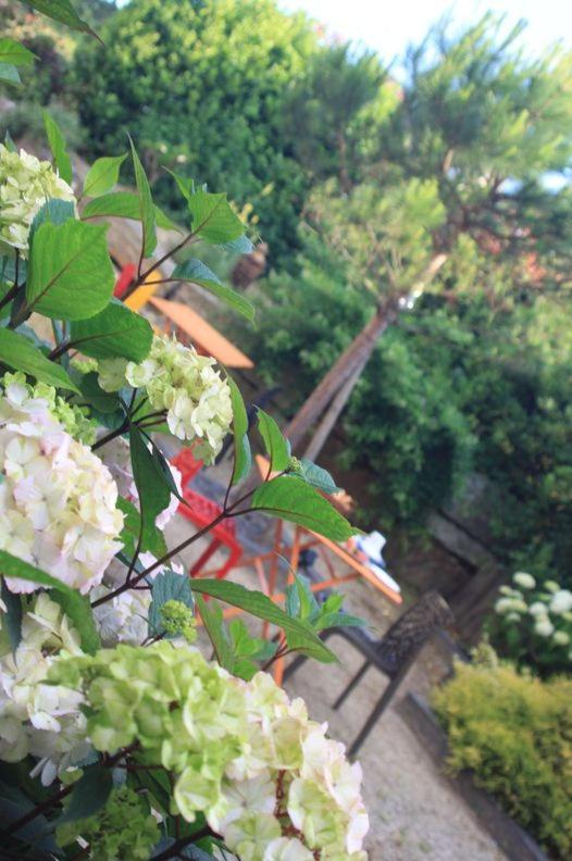 Hotel - Restaurant L'Hortensia Noyalo ภายนอก รูปภาพ